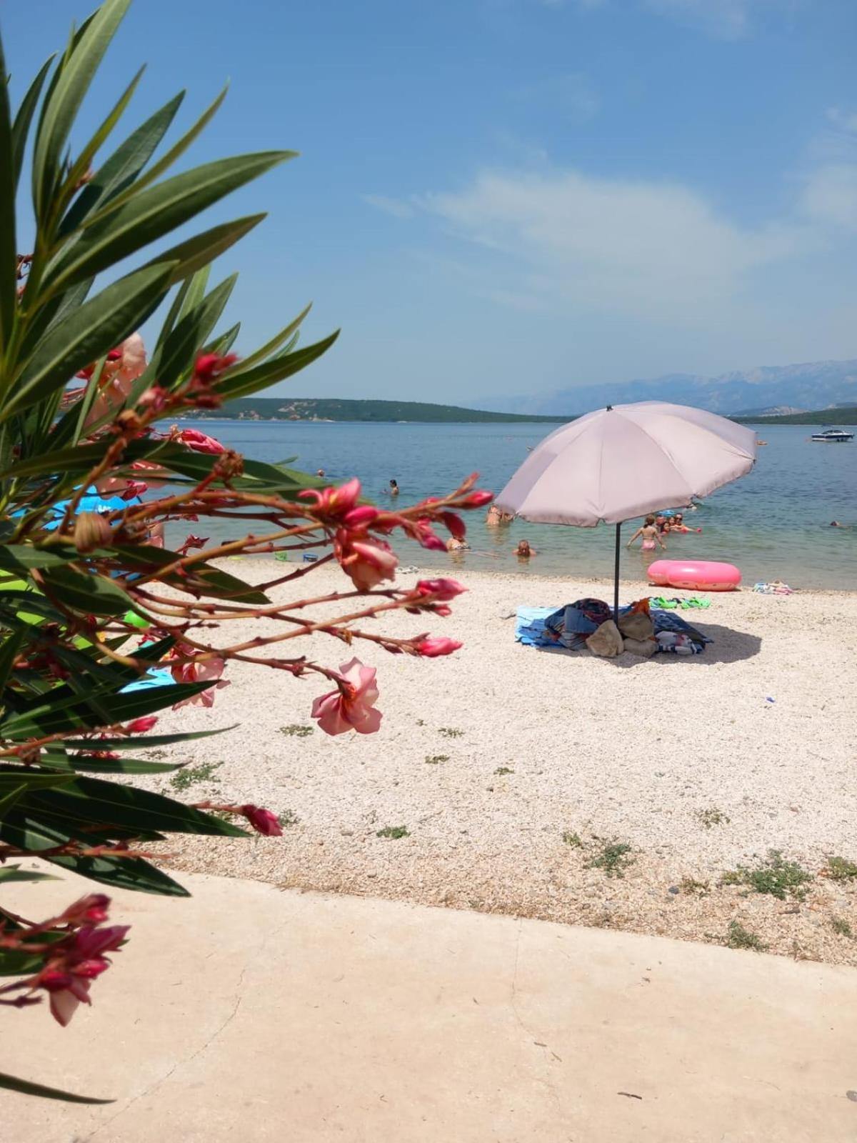 Karin Apartmani Hani Gornji Karin Buitenkant foto