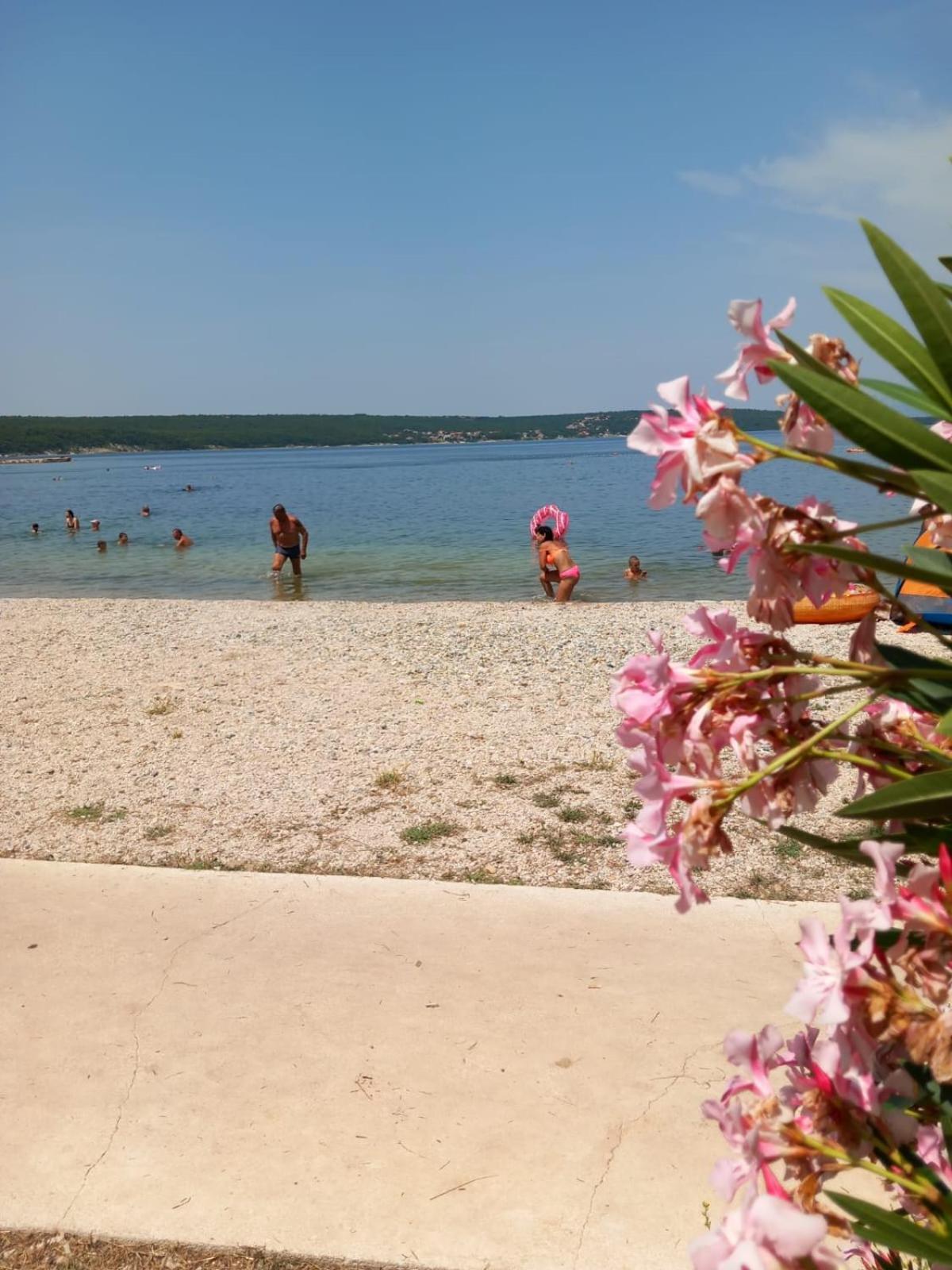 Karin Apartmani Hani Gornji Karin Buitenkant foto